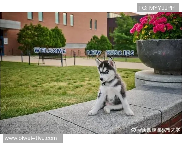 康涅狄格大学球员脚踩哈士奇PE球鞋引发媒体热议